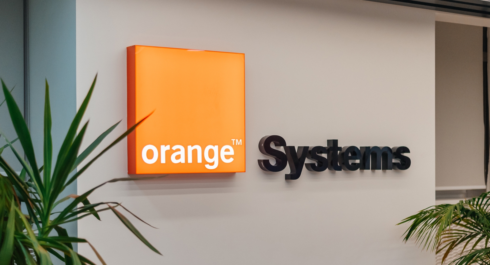 Orange Systems office