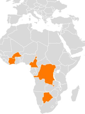 Orange Systems success story: region